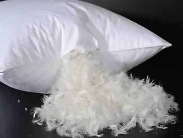 bildirçin əti satışı: Dolğu, Ödənişli çatdırılma — 1