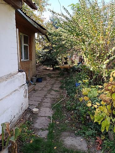 Дома: Продаю дачу с Байгельди Чуйская область, Аламудунский р-н, Байтикский — 5