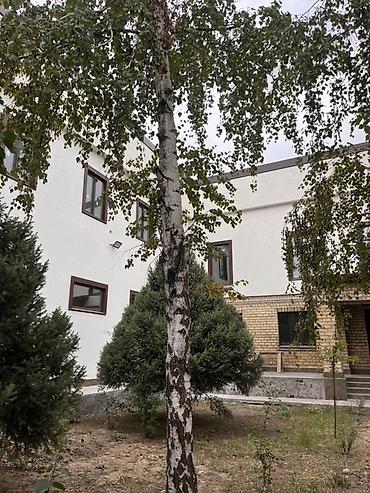 комната культуры бишкек: Сдаю The entire office: 700 м², Другой тип здания, С ремонтом, С отдельным входом — 2