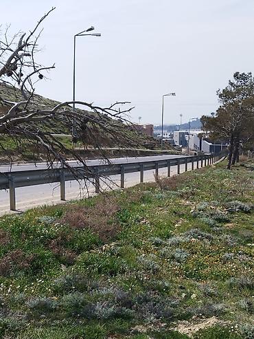salyan: 12 sot, Tikinti, Mülkiyyətçi, Kupça (Çıxarış) — 1