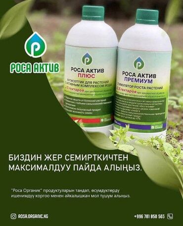росо телефон: Роса Актив препарат и услуга дрон