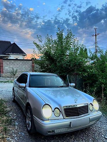 ручки е34: Mercedes-Benz E-Class: 1998 г., 3.2 л, Автомат, Бензин, Седан — 4