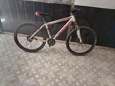 adi velosiped: İşlənmiş Şəhər velosipedi Start, 29", Ünvandan götürmə — 2