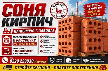 лега кирпич: Соня Кирпич — кирпич напрямую с завода. - Кирпичи с тремя круглыми — 1