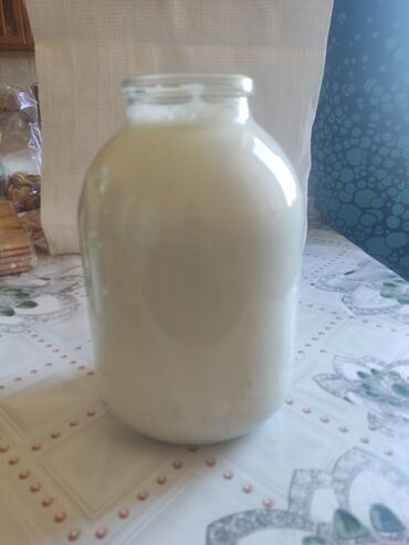 Молочные продукты и яйца: Продаю козье молоко без запаха от нубийских коз
