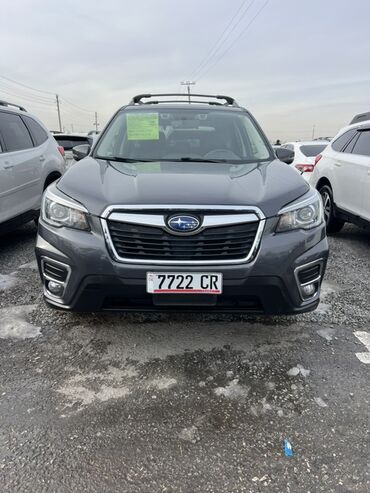 Subaru: Subaru Forester: 2019 г., 2.5 л, Вариатор, Бензин, Кроссовер — 1