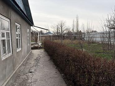 Продажа коттеджей и домов: Продается участок с домом и двором в селе Беловодское, огороженный — 6