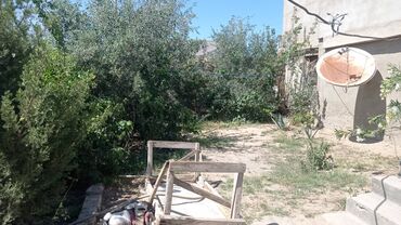 Bağ evlərinin satışı: Bakı, Zirə qəs., 100 kv. m, 7 otaqlı, Hovuzsuz, İnternet, Qaz, İşıq — 24