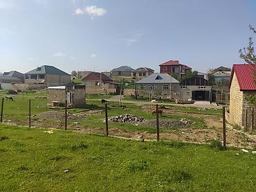 hovsanda torpaq satilir 2025: 5 sot, Tikinti, Mülkiyyətçi, Kupça (Çıxarış) — 2