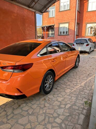 нундай аксент: Hyundai Sonata: 2019 г., 2 л, Автомат, Газ, Седан