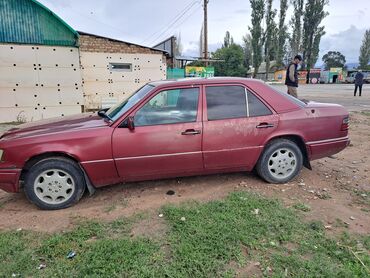 мерс кабан дизил: Mercedes-Benz 200: 1994 г., 2 л, Механика, Дизель, Седан