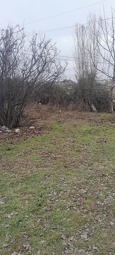 Torpaq sahələrinin satışı: Tikinti — 6