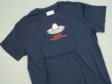 ansin koszulki: T-shirt for men, size 2XL (EU 44), condition - Perfect