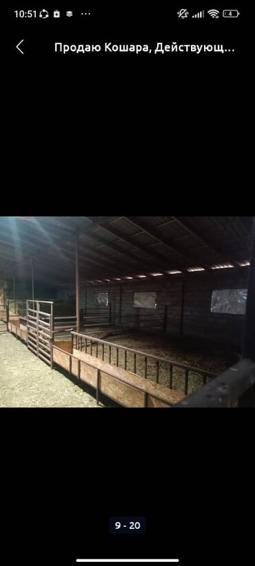 Сельхоз предприятия: Продаю Кошара, 50 соток, Действующий, Частично с оборудованием, Электричество, Канализация, Отопление at lalafo.kg — 15 Сельхоз предприятия: Продаю Кошара, 50 соток, Действующий, Частично с оборудованием, Электричество, Канализация, Отопление — 15