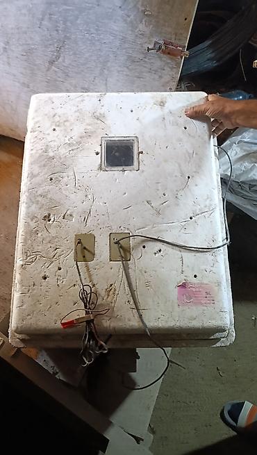 mini generator satışı: 100 yumurta, Rusiya, Bütün növ quşlar üçün — 1