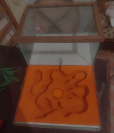 Heyvanlar üçün digər mallar: Hər ölçüdə hər dizaynda qarışqa yuvaları yığılır səliqəli və təmiz — 22