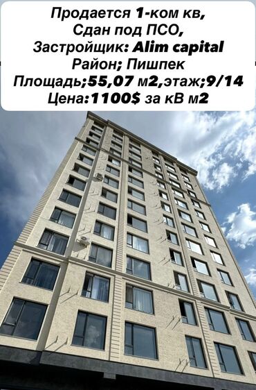 сдаю квартиру в районе пишпек: 1 комната, 55 м², Элитка, 9 этаж, ПСО (под самоотделку)