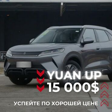 портер заказать: BYD Yuan Up 2024 401km Vitality Edition на оформление под ключ 15 000$