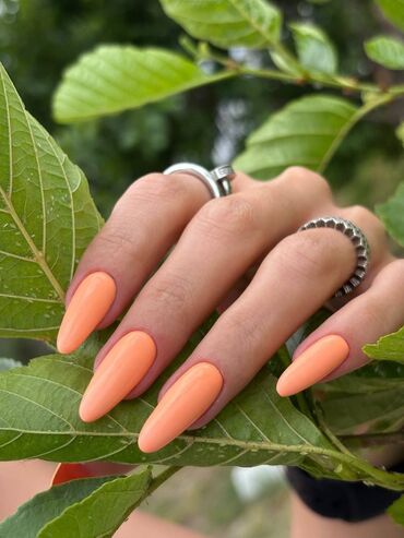 Manikür, pedikür: Manikür, Korreksiya, Salonda — 30