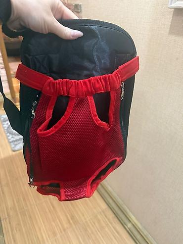 it sekili: Balaca it/pişik üçün ön tərəfdən daşıma çantası (pet carrier) - — 3