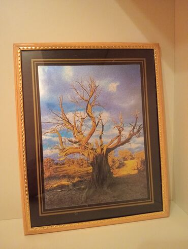 Şəkillər, tablolar: Şəkilli çərçivə, şəkilləri deyişdirmek olmur. ancaq divardan asıla — 13