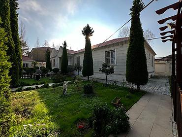 binededi: Bakı, Novxanı, 350 kv. m, 5 otaqlı, Hovuzlu, Kanalizasiya, Kombi, Qaz — 9