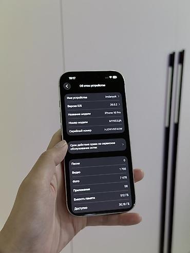 512: IPhone 16 Pro, Б/у, 512 ГБ, White Titanium, Зарядное устройство, Защитное стекло, Чехол, 88 % — 6