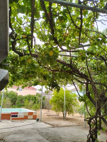 Bağ evlərinin kirayəsi: 100 kv. m, 3 otaqlı, Hovuzlu, Artezian quyusu, Su, Kombi — 7