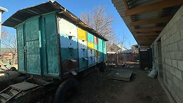 Другое сельско-хозяйственное оборудование: Передвижная пчеловодческая платформа (прицеп‑павильон) - под готовый — 5