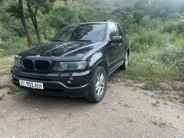 расширительный бачок бмв е60: BMW X5: 2003 г., 3 л, Автоматические, Дизель, Внедорожник