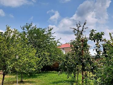 mingecevirde tecili satilan evler: 10 sot, Tikinti, Kupça (Çıxarış) — 4