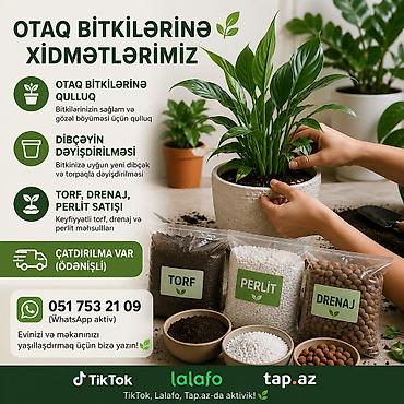 bitki dərmanları satışı: 🌿 Bağban Xidməti – Həyət və Bağlarınıza Peşəkar Qulluq Bağınızın hər — 1