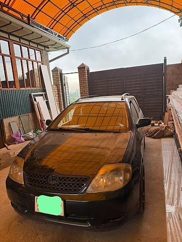r16 w220: Toyota Corolla: 2003 г., Механика, Бензин, Универсал — 1