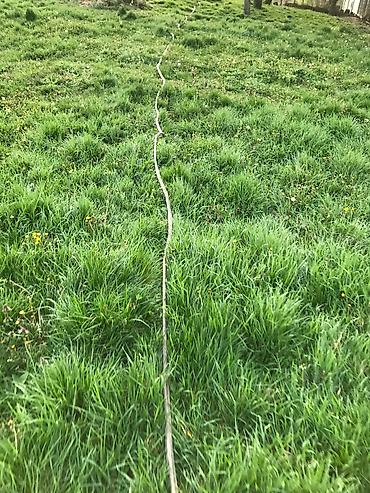 Ostala elektronika: Dalekovodni visokonaponski petozilni kabl sa sajlom debeo tezak tacno — 11