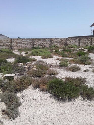 Torpaq sahələrinin satışı: 6 sot, Tikinti, Mülkiyyətçi, Kupça (Çıxarış) — 9