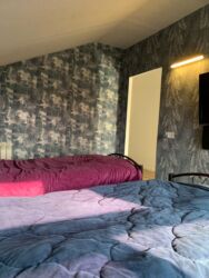 Həyət evləri və villaların satışı: Binə 4 otaqlı, 200 kv. m, Kredit yoxdur, Yeni təmirli — 18