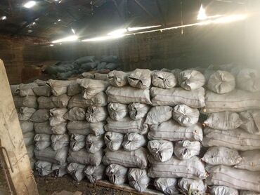 уголь древесный оптом цена: Древесный уголь