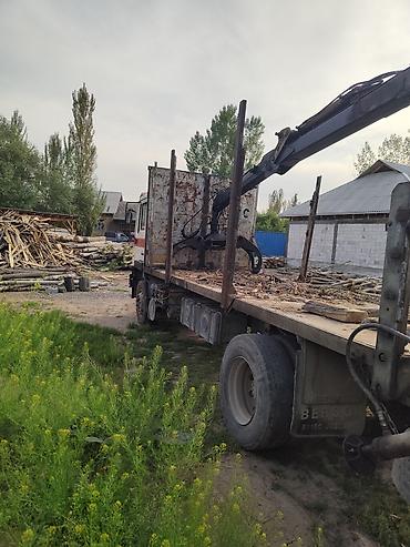 Манипуляторы: Манипулятор, MAN — 3