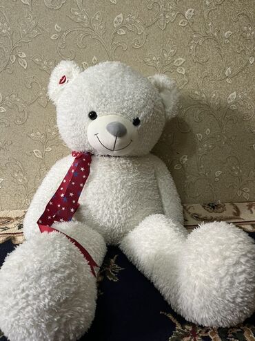 котенок белый купить: Отдам даром