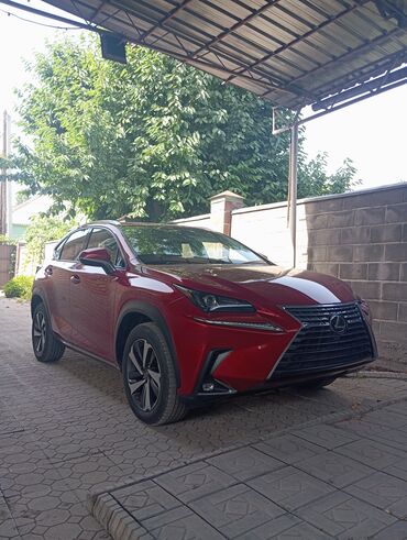 авто в рассрочку в бишкеке без процентов: Lexus NX: 2018 г., 2 л, Типтроник, Бензин, Кроссовер