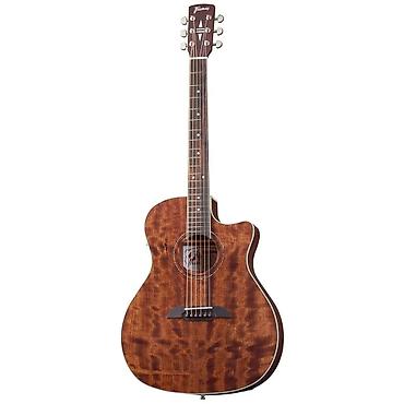 elixir: Электроакустическая гитара немецкого бренда Framus FG 14 M CP NS формы — 1