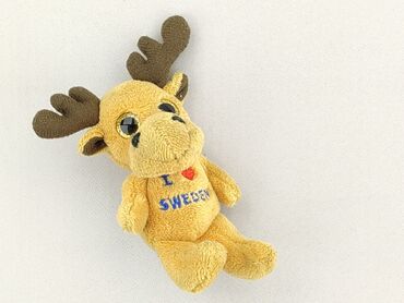 Mascot condition - Very good