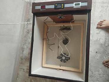 Инкубаторы: Инкубатор лор сатылат жаны колдо жасалган инкубаторлор ишенимдүү жана — 8