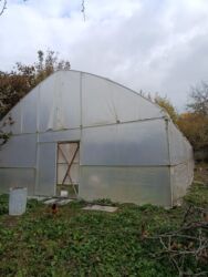 fındıq ləpəsi qiyməti: Polikarbonat/plastik örtüklü istixana (sera)24x8 - Karkas: sinklənmiş