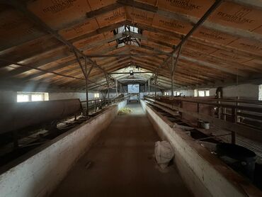 Продажа домов: Времянка, 400 м², 2 комнаты, Собственник — 15