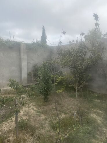 Həyət evləri və villaların satışı: Şüvəlan qəs. 3 otaqlı, 70 kv. m, Kredit yoxdur, Orta təmir — 13