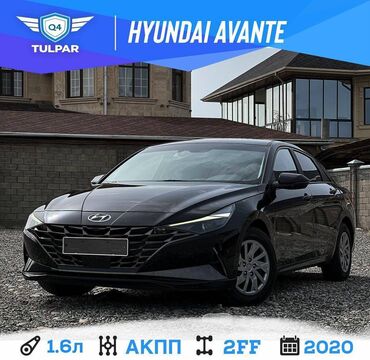 Audi: Hyundai Avante: 2020 г., 1.6 л, Автомат, Бензин, Седан