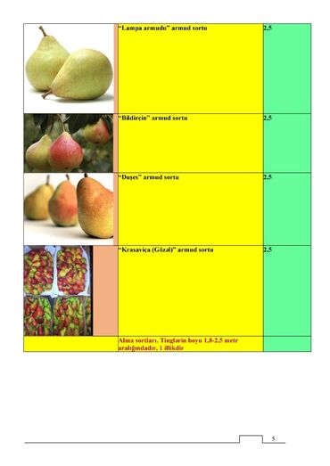 Tinglər: Meyvə və dekorativ ağac tingləri Təsvir: - Tərtər rayonu ərazisində — 12