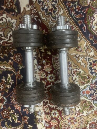 набор для роликов: Разборные гантели (пара) с металлическими грифами и дисками. - Тип