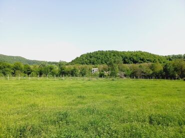 Torpaq sahələrinin satışı: 100 sot, Kənd təsərrüfatı, Barter mümkündür, Kupça (Çıxarış)